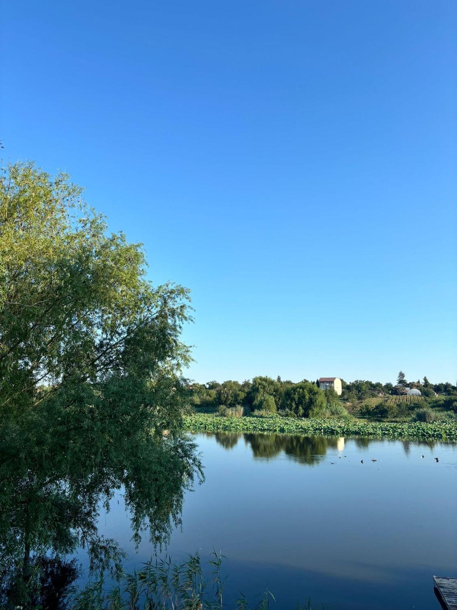 La Nuferi Lac To Therme & Aeroport Otopeni Hotel Snagov Bagian luar foto